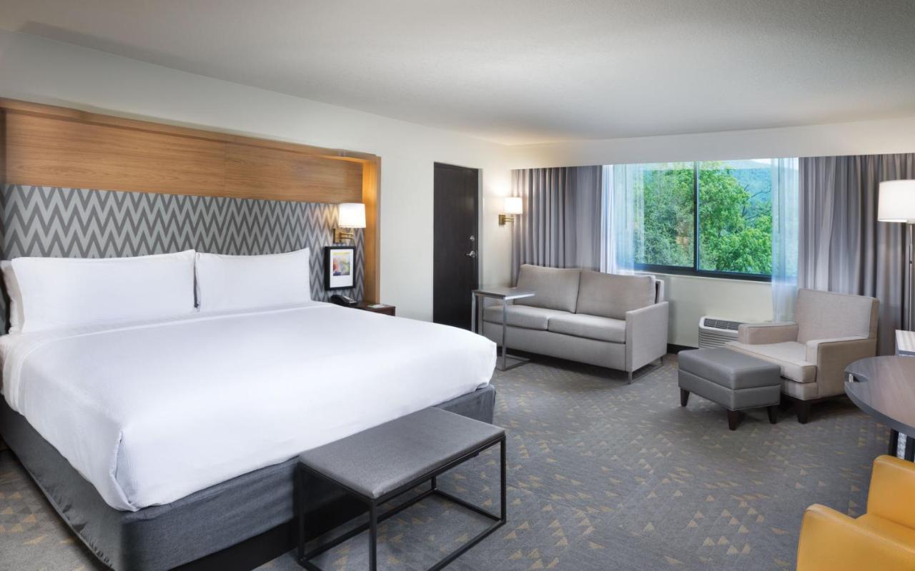 Holiday Inn Asheville East-Blue Ridge Pkwy By Ihg Bagian luar foto